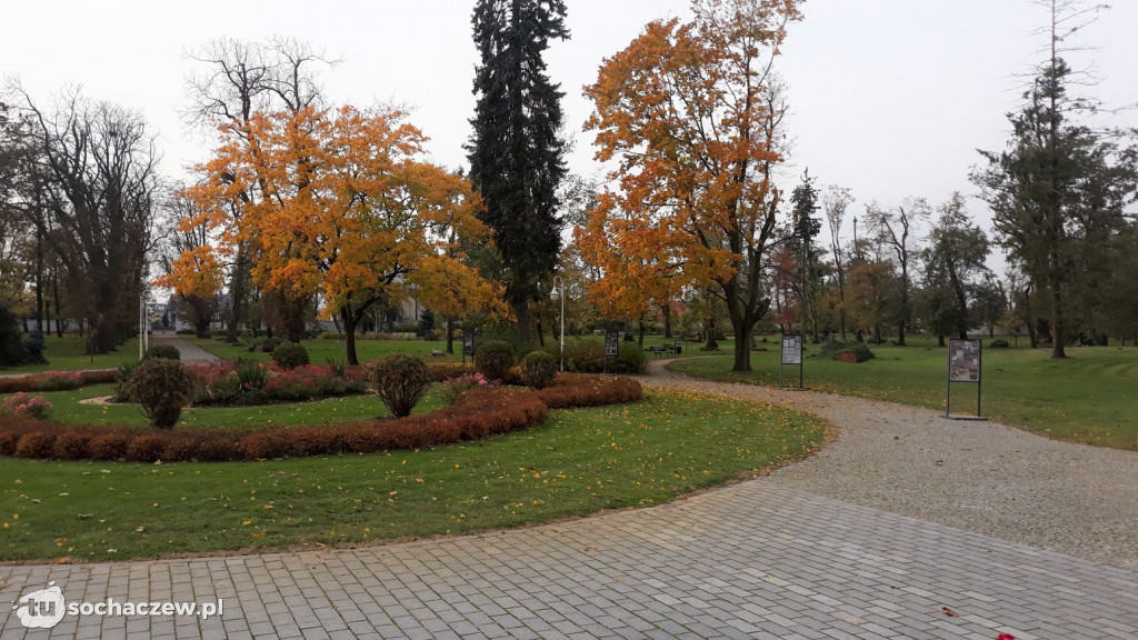 Jesień w Sannikach