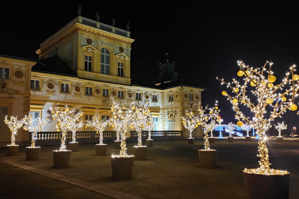 Młodzieszyn w Królewskim Ogrodzie Światła