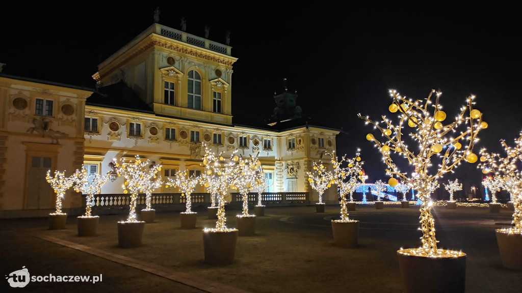 Młodzieszyn w Królewskim Ogrodzie Światła