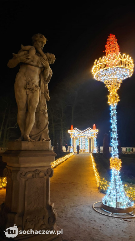 Młodzieszyn w Królewskim Ogrodzie Światła
