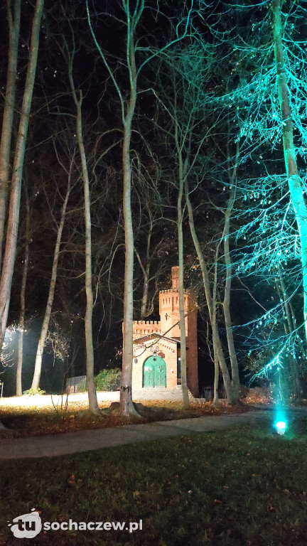 Młodzieszyn w Królewskim Ogrodzie Światła