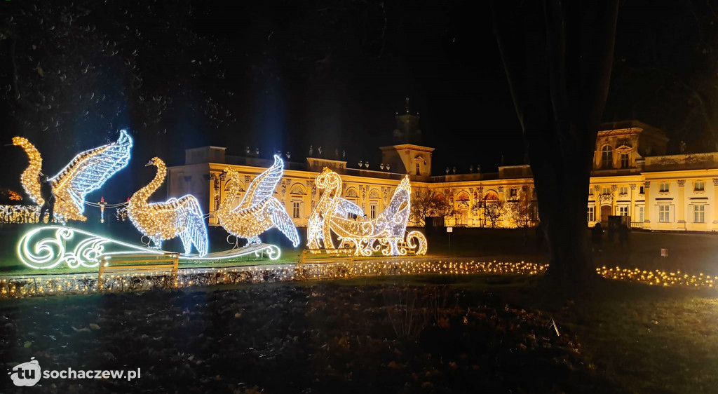 Młodzieszyn w Królewskim Ogrodzie Światła