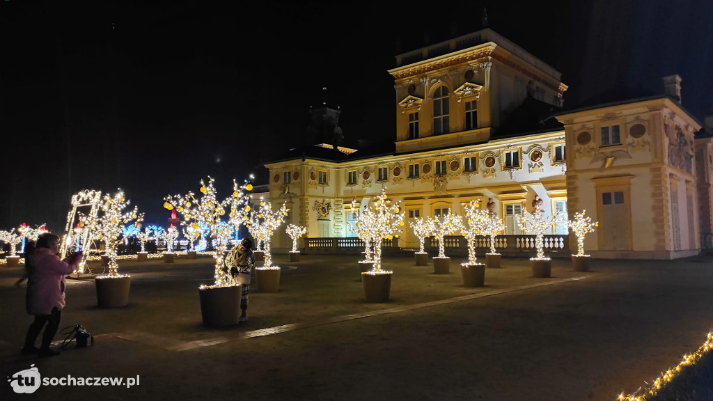 Młodzieszyn w Królewskim Ogrodzie Światła