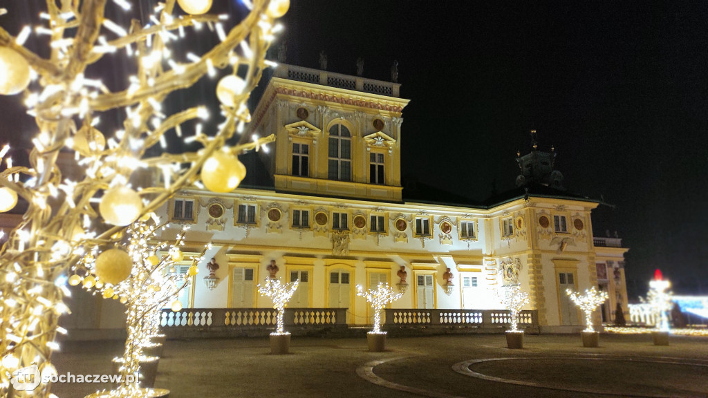 Młodzieszyn w Królewskim Ogrodzie Światła