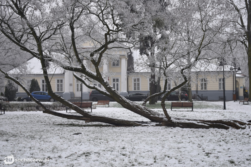 Pięknie i niebezpiecznie w Sochaczewie