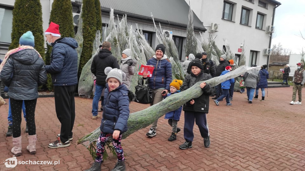 Choinka pod choinkę w Młodzieszynie
