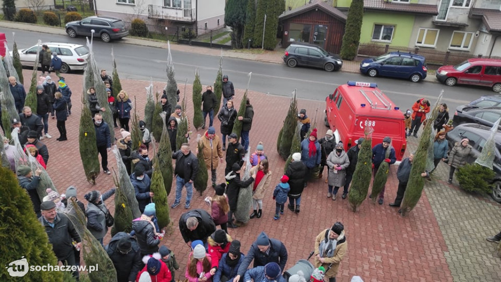 Choinka pod choinkę w Młodzieszynie