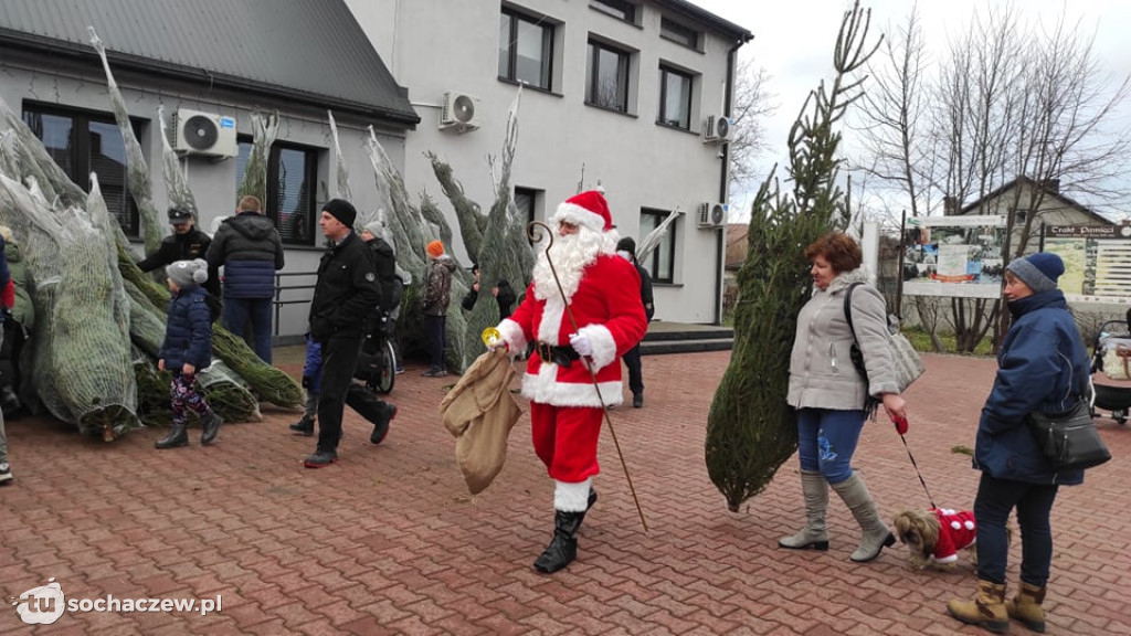 Choinka pod choinkę w Młodzieszynie