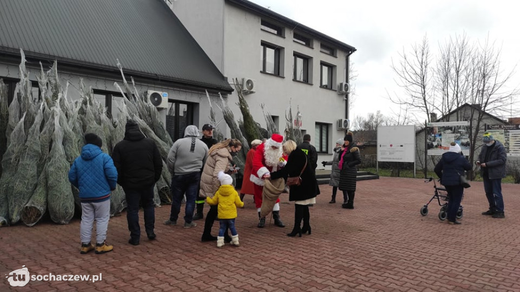 Choinka pod choinkę w Młodzieszynie