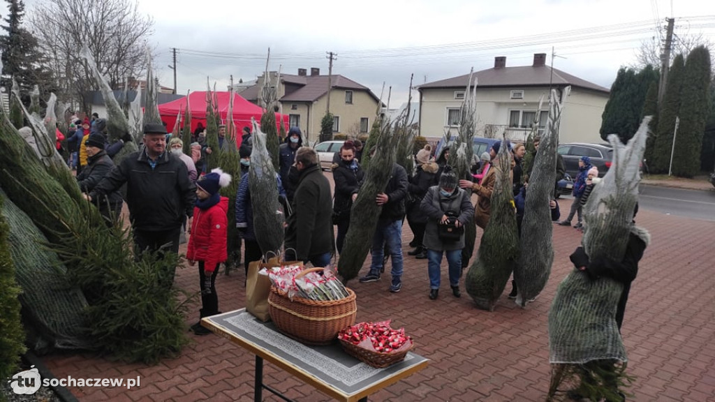 Choinka pod choinkę w Młodzieszynie