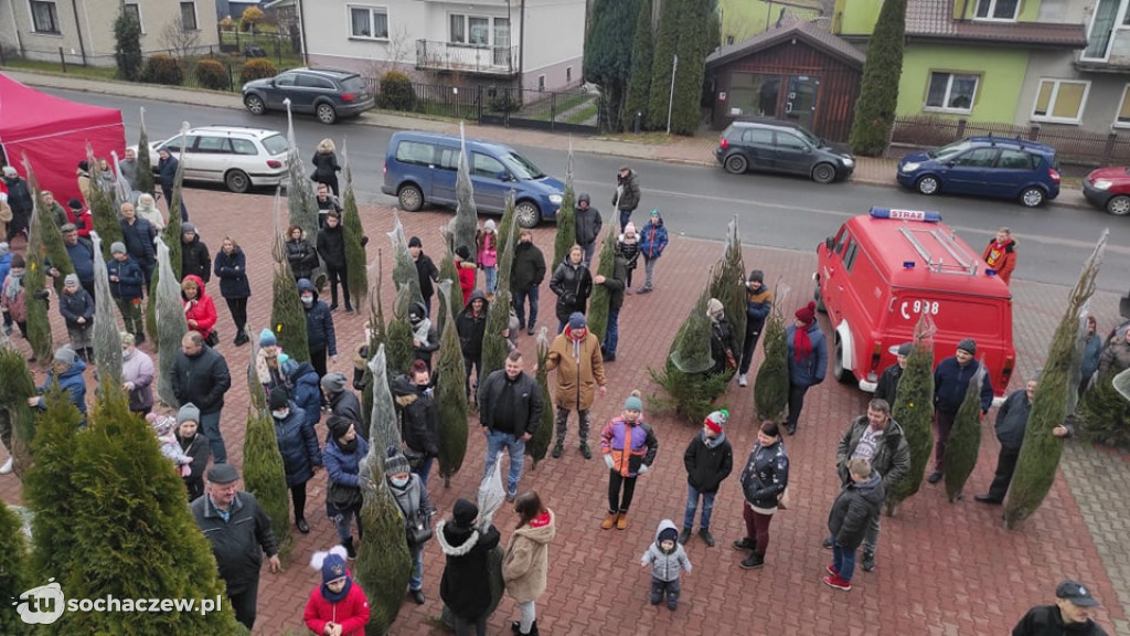 Choinka pod choinkę w Młodzieszynie
