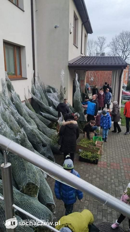 Świąteczna akcja w Rybnie