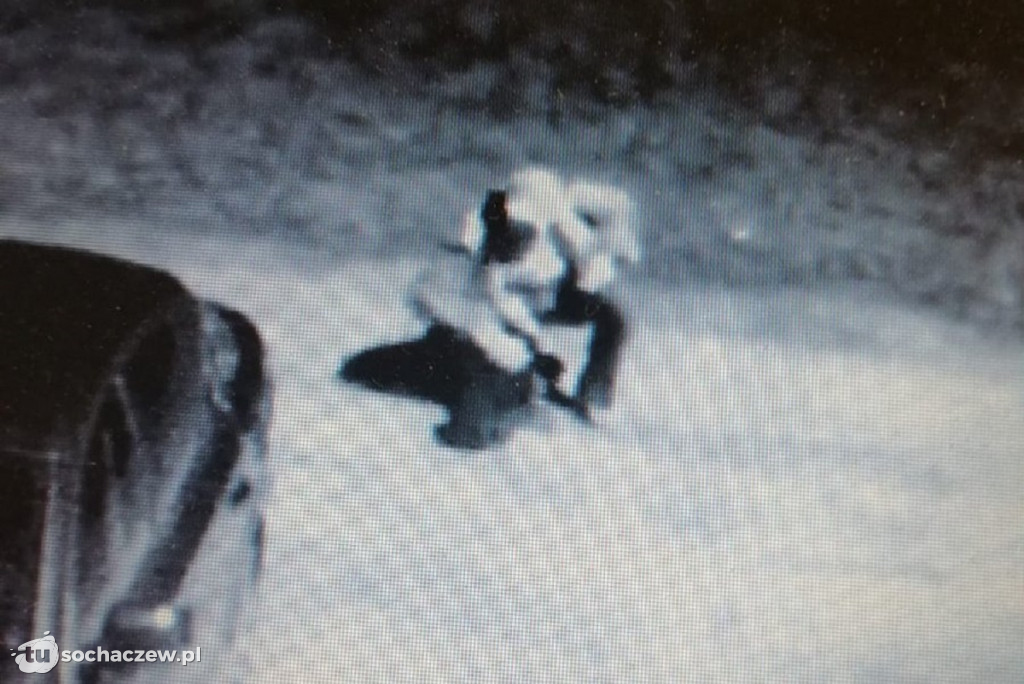 Policja ze Skierniewic odzyskała skradzionego psa