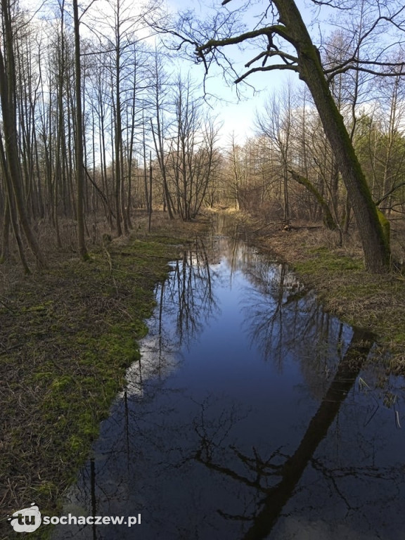 Rajd Pieszy Tropem I Wojny Światowej