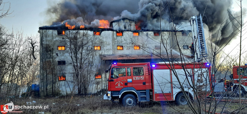 Pożar w Młodzieszynie