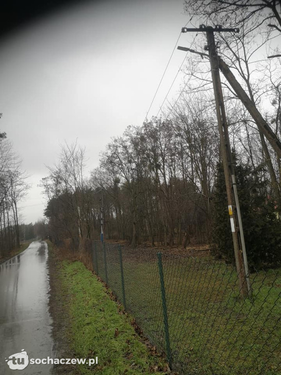 Nowa Sucha: trwa przycinka drzew