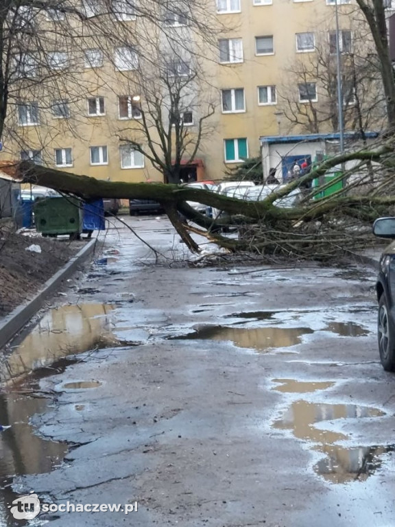 Wichura Sochaczew 17 lutego 2022