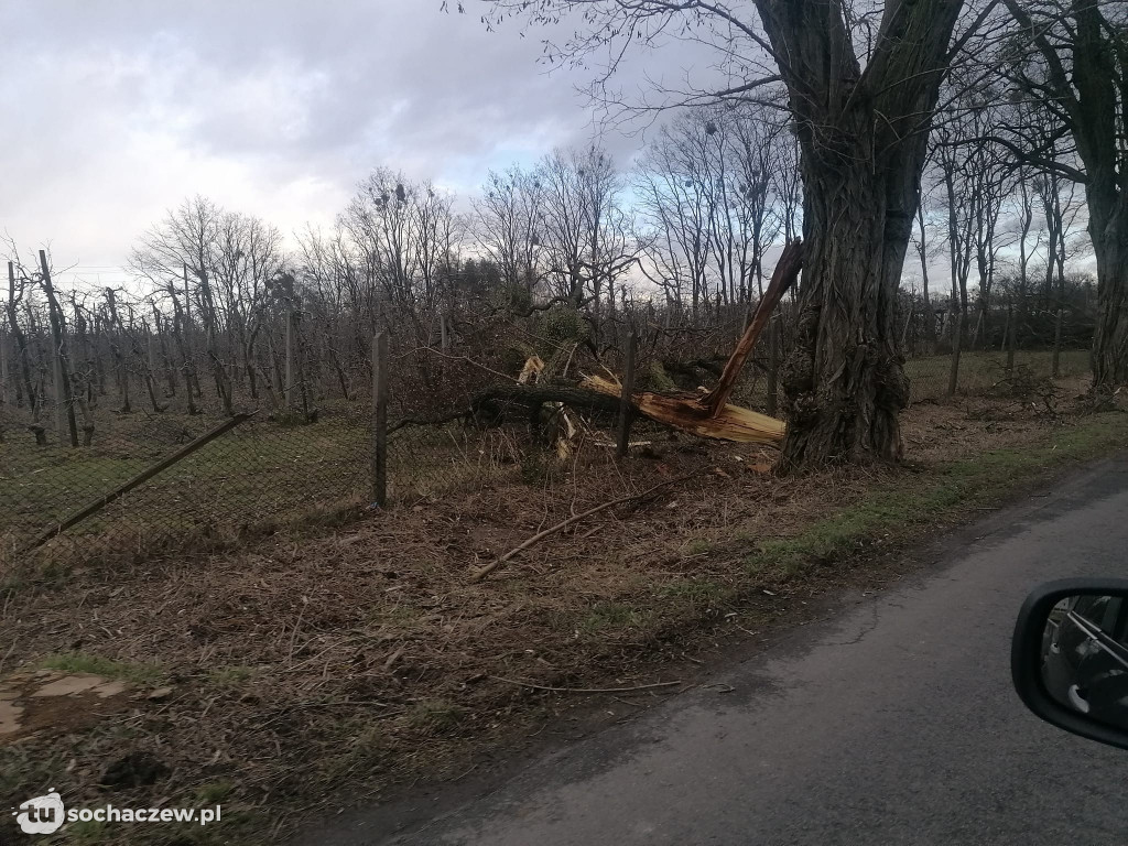 Wichura Sochaczew 17 lutego 2022