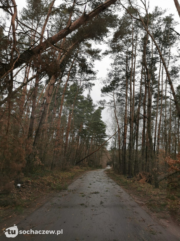 Skutki wichury pod Łowiczem 17.02