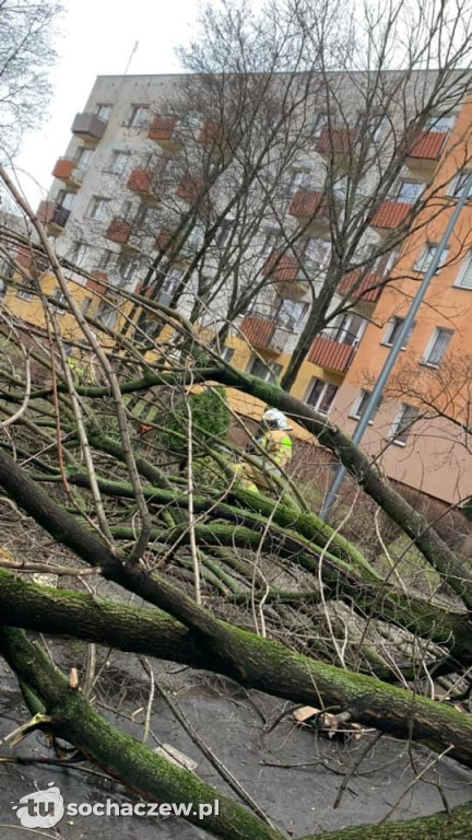 Wichura Sochaczew 17 lutego 2022