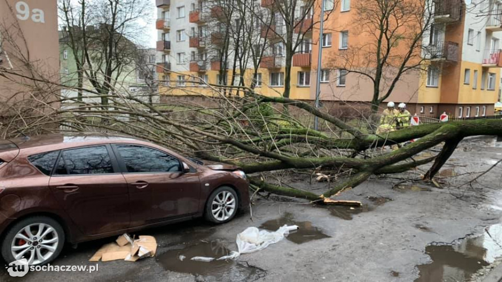 Wichura Sochaczew 17 lutego 2022