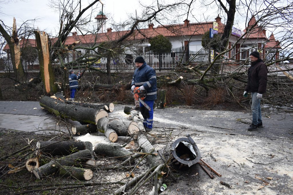 Zniszczenia w parku przy Traugutta