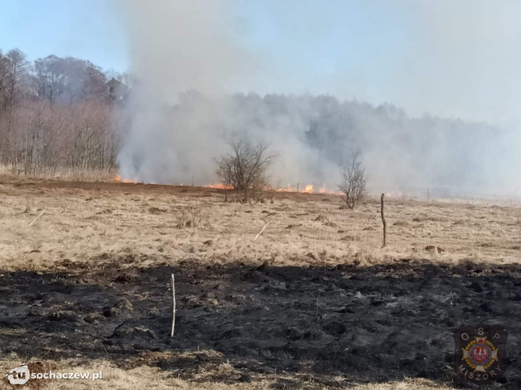 Pożar traw w gminie Brochów