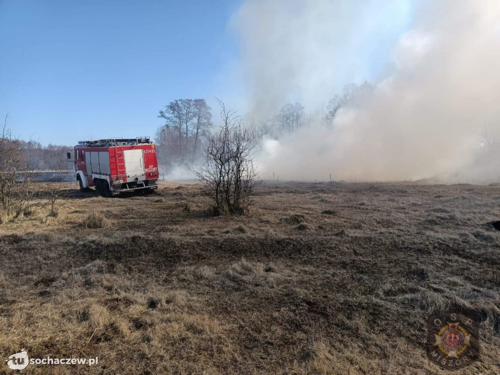 Pożar traw w gminie Brochów