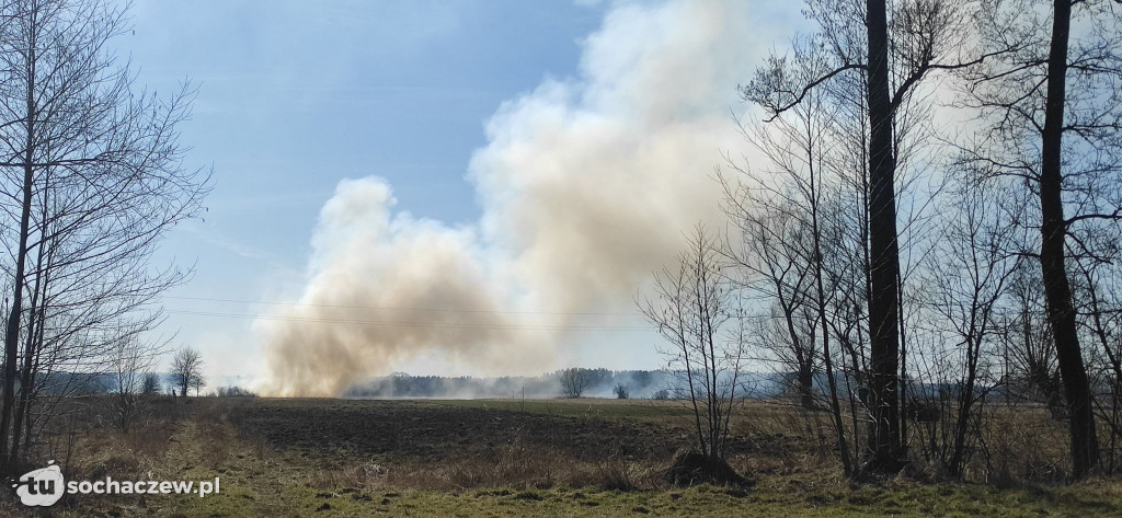 Pożar traw w gminie Brochów