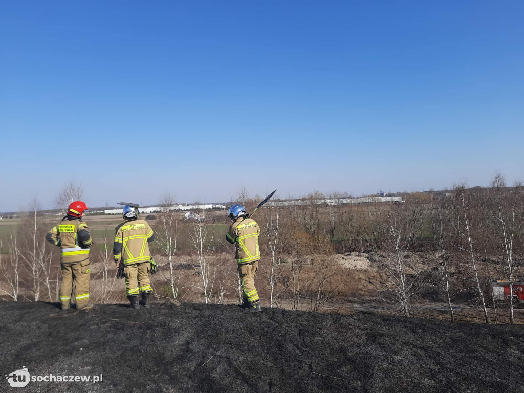 Pożar traw w Teresinie