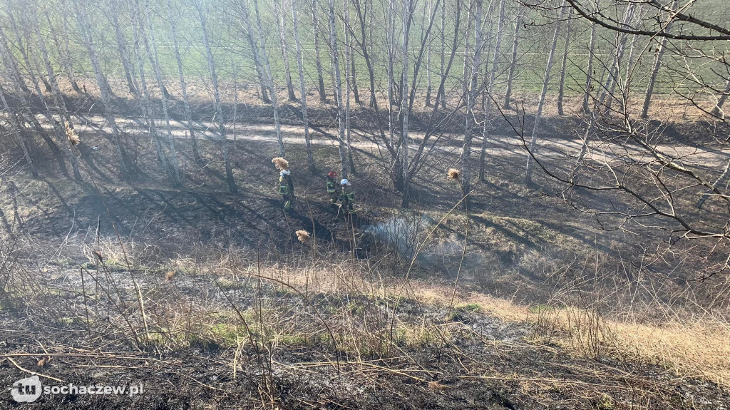 Pożar traw w Teresinie