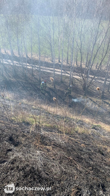 Pożar traw w Teresinie
