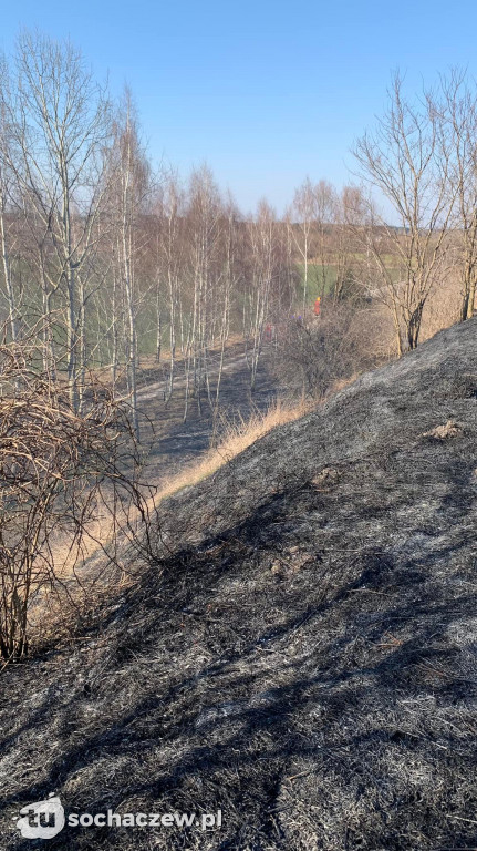 Pożar traw w Teresinie