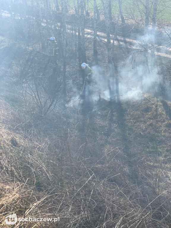 Pożar traw w Teresinie