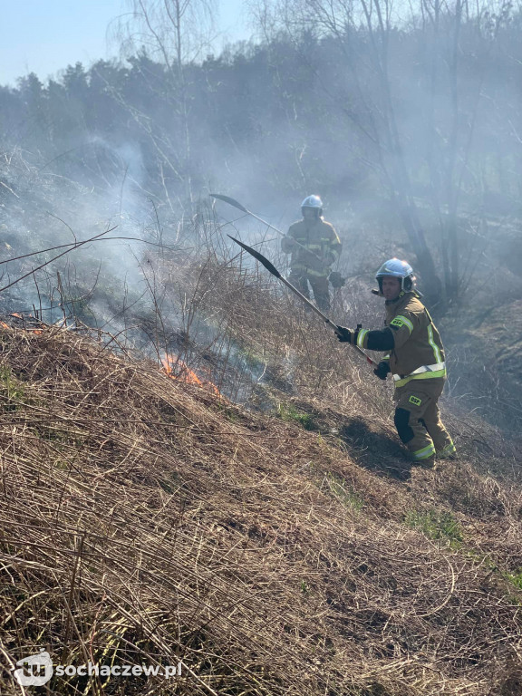 Pożar traw w Teresinie