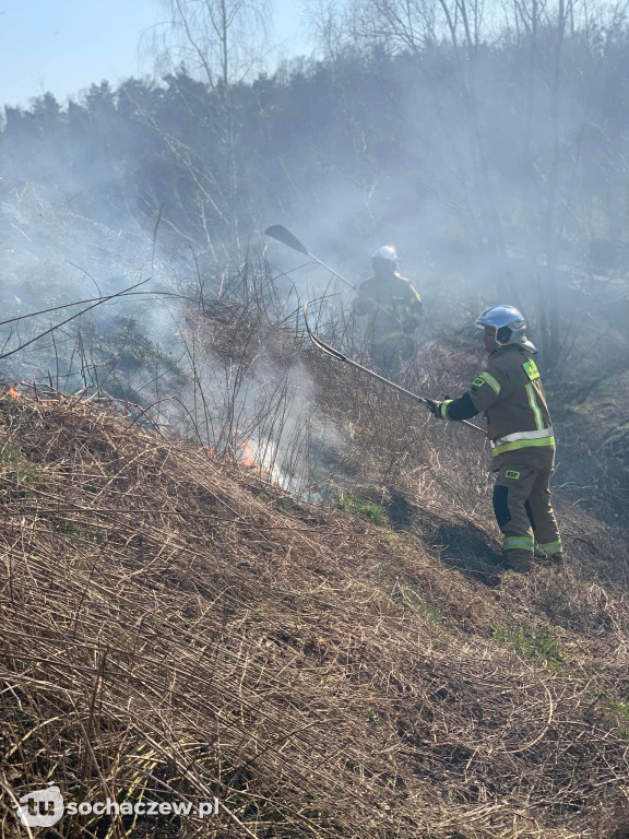 Pożar traw w Teresinie