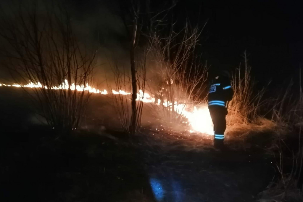 Pożar traw przy Korczaka