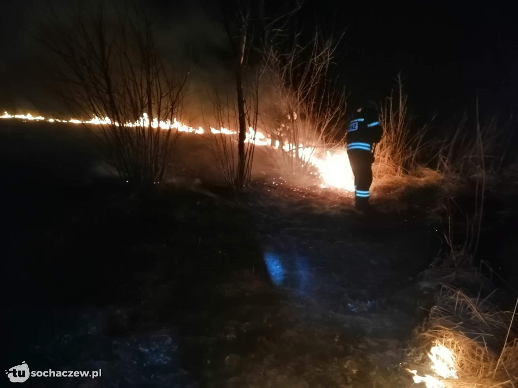 Pożar traw przy Korczaka