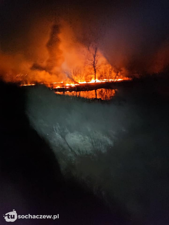 Pożar traw przy Korczaka