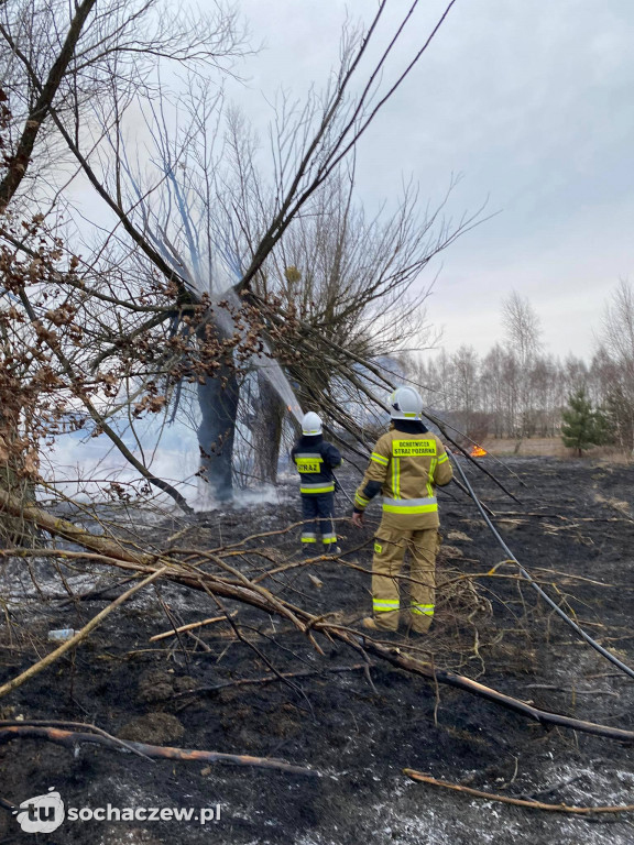 Pożar traw w Oluninie