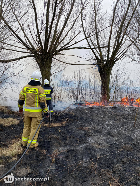 Pożar traw w Oluninie