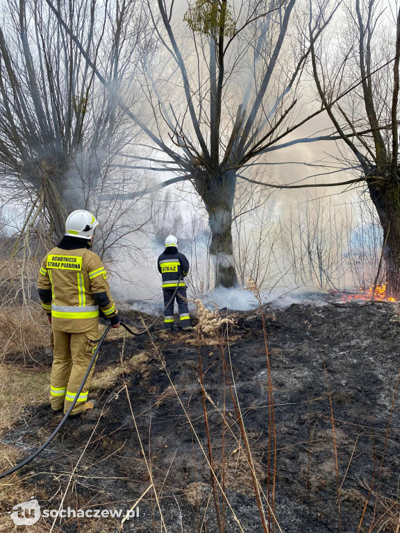 Pożar traw w Oluninie