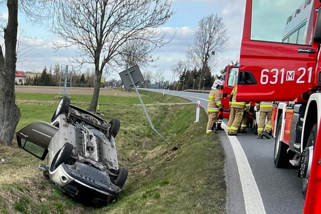 Dachowanie w Jeżówce