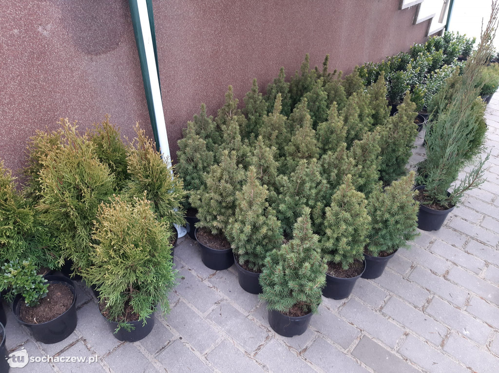 Spotkanie wiosenno-wielkanocne w Rybnie