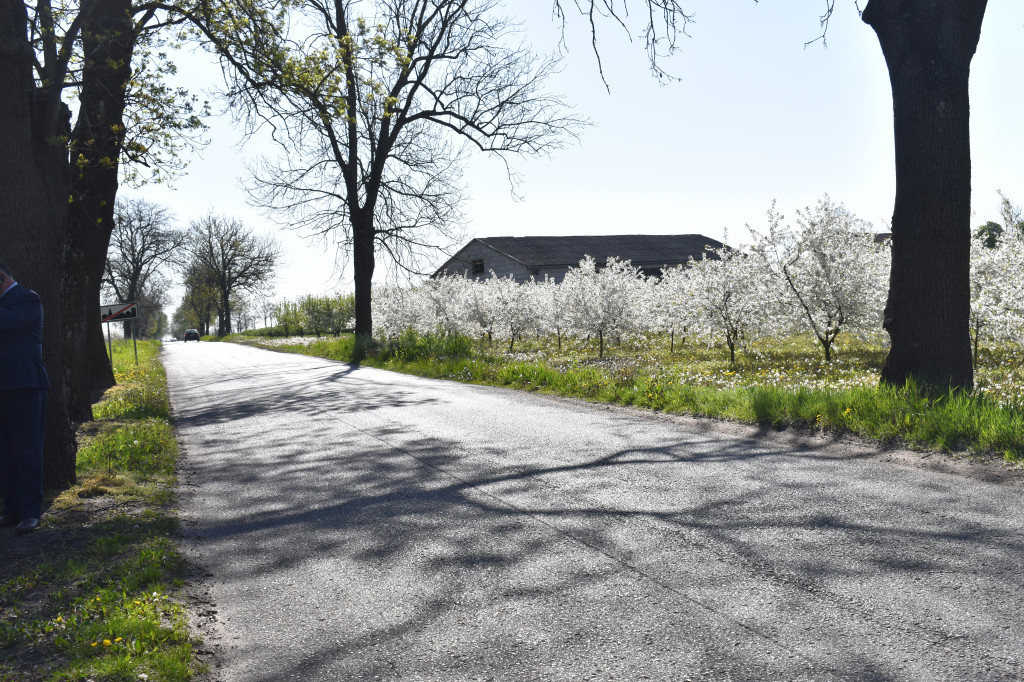 Rozbudowa drogi Rybno - Żdżarów