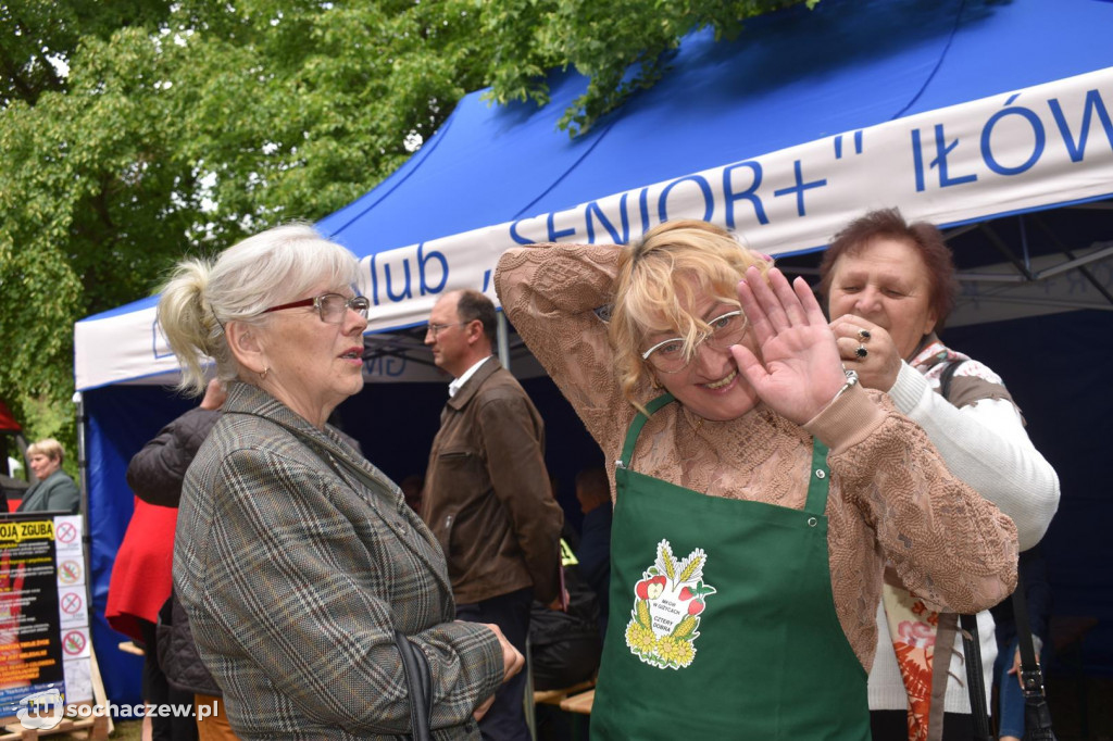 Gminny Piknik Rodzinny 2022  w Rzepkach