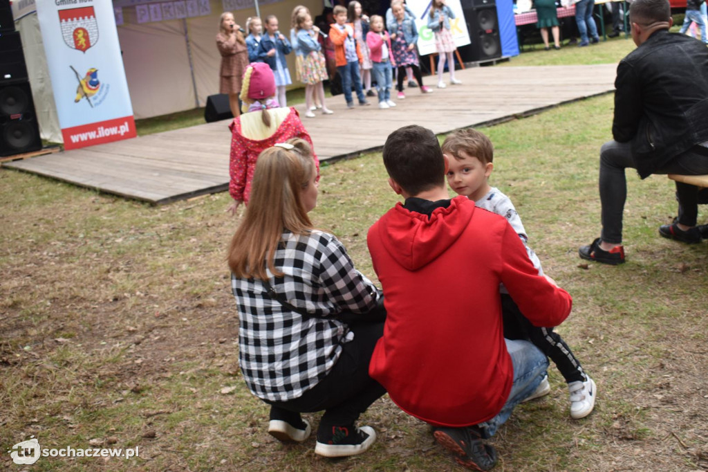 Gminny Piknik Rodzinny 2022  w Rzepkach