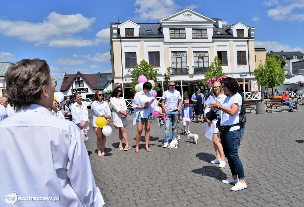 Projekt Zobacz Więcej w Sochaczewie