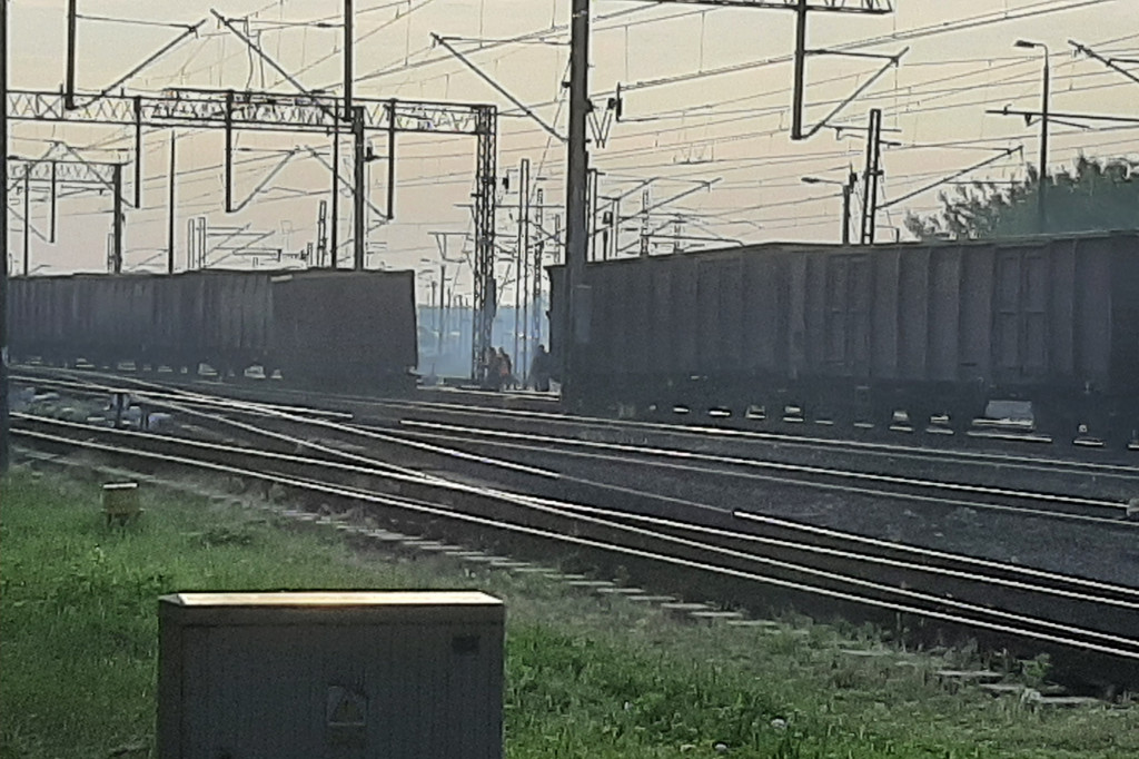 Wykolejenie pociągu w Sochaczewie