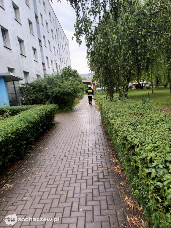 Powiat sochaczewski po nawałnicy